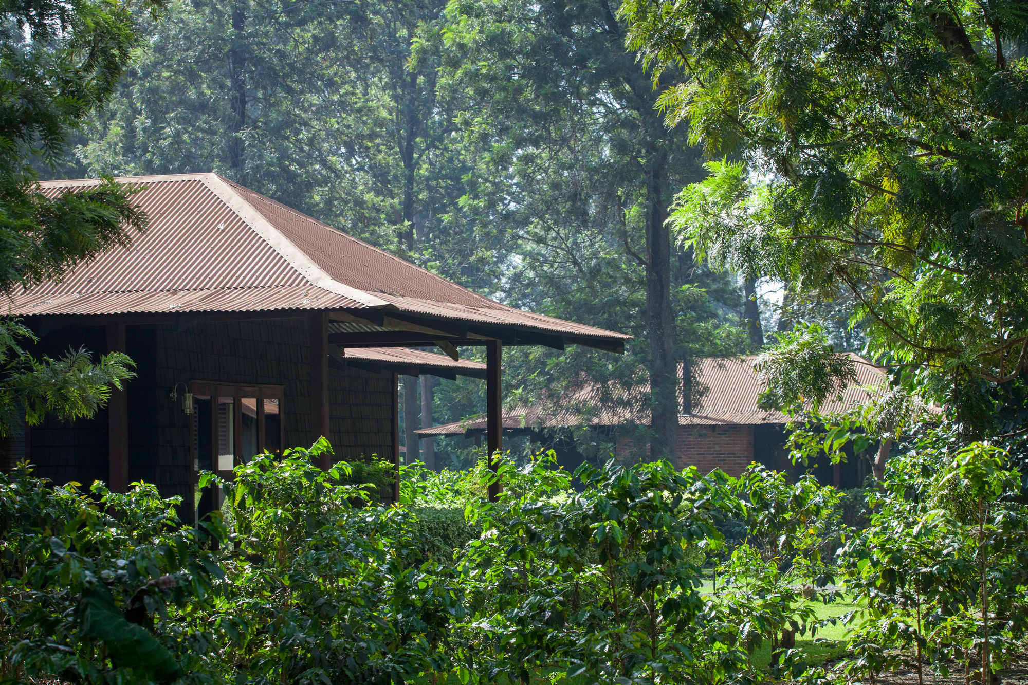 Elewana Arusha Coffee Lodge Exterior foto